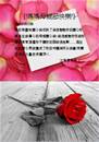 縮圖：