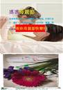 縮圖：