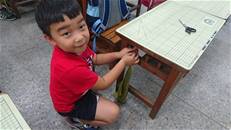 縮圖：