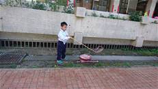縮圖：