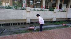 縮圖：