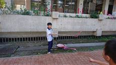 縮圖：