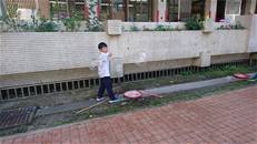 縮圖：