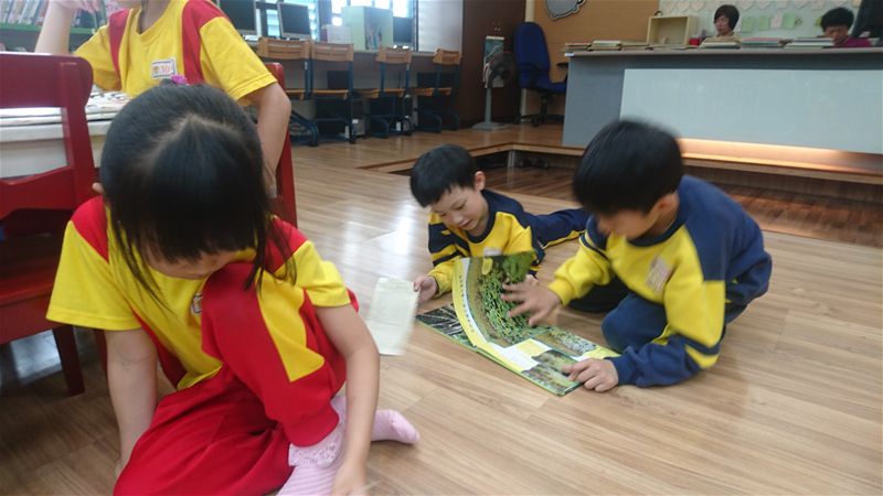 放大圖：