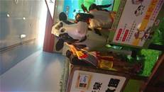 縮圖：