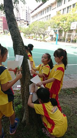 放大圖：