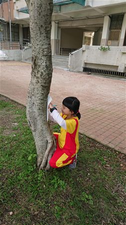 放大圖：