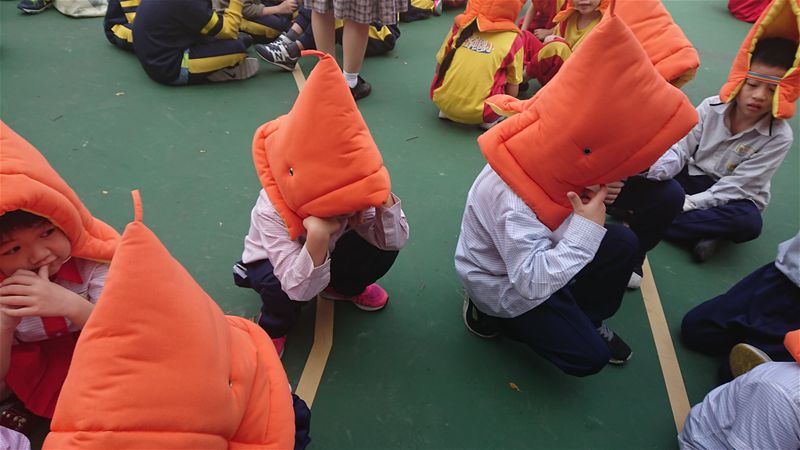 放大圖：