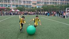縮圖：