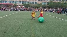 縮圖：