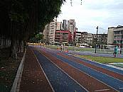 縮圖：