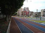 縮圖：