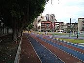 縮圖：