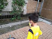 縮圖：