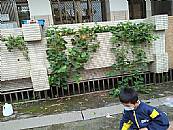 縮圖：