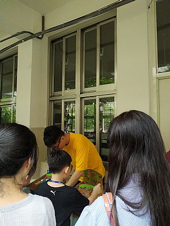 放大圖：