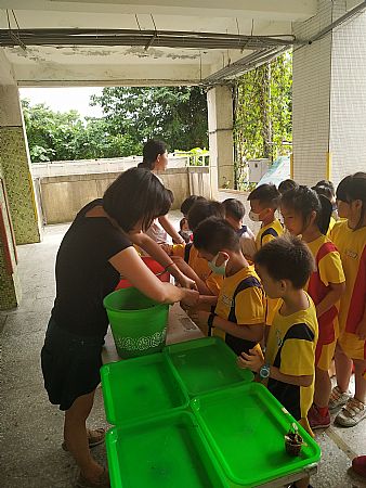 放大圖：