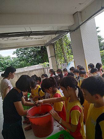 放大圖：