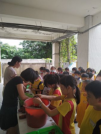 放大圖：