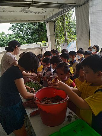 放大圖：