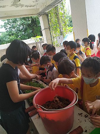 放大圖：