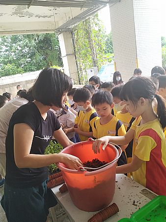 放大圖：