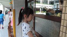 縮圖：