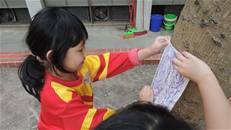 縮圖：