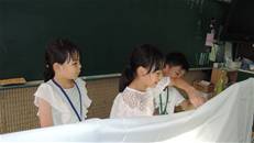 縮圖：