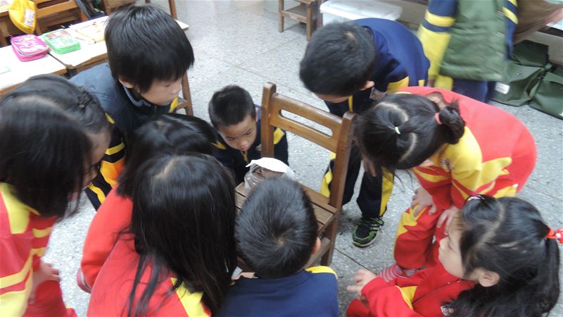 放大圖：