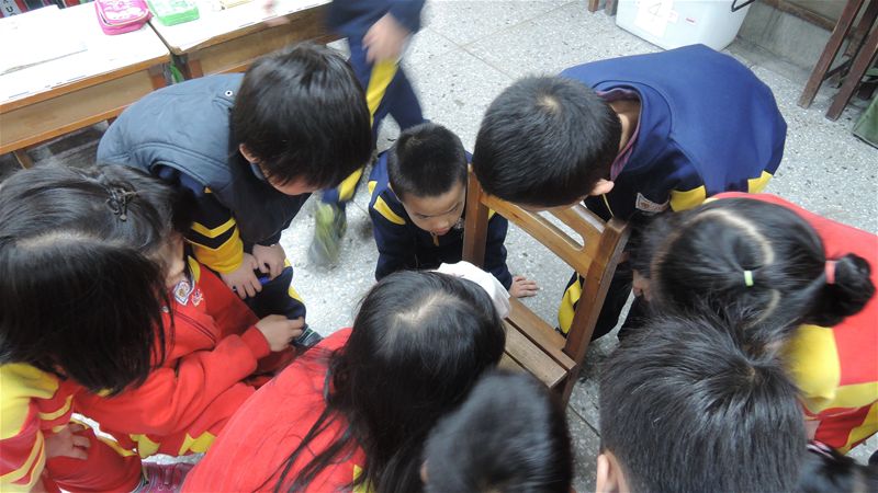 放大圖：