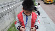 縮圖：