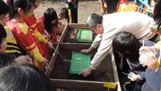 縮圖：