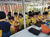 縮圖：