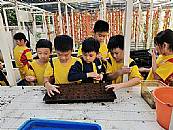 縮圖：