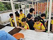 縮圖：