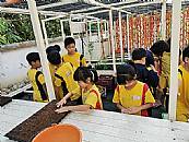 縮圖：