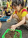 縮圖：
