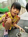 縮圖：