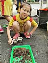 縮圖：