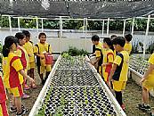 縮圖：