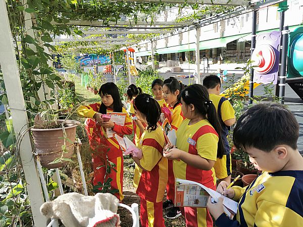 放大圖：