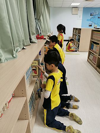 放大圖：