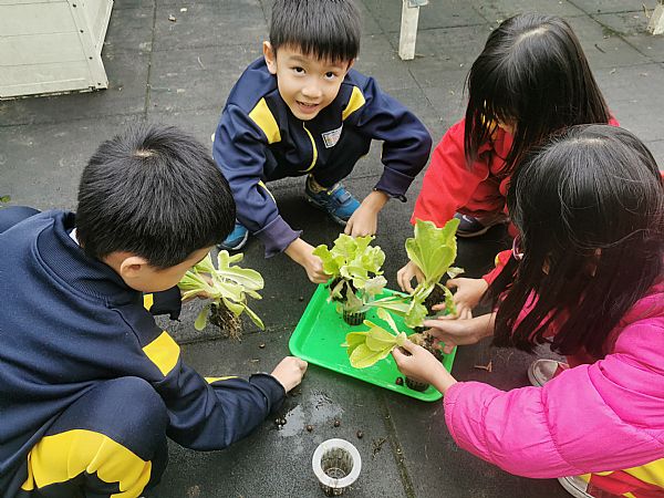 放大圖：