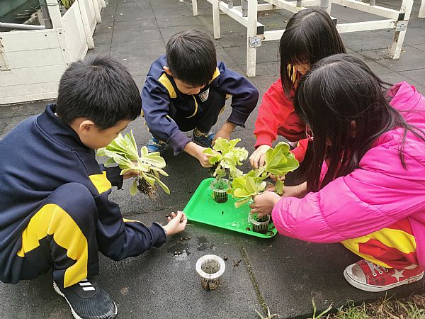 放大圖：