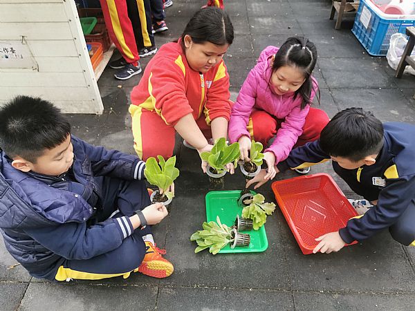 放大圖：