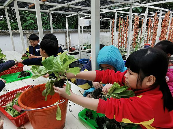 放大圖：