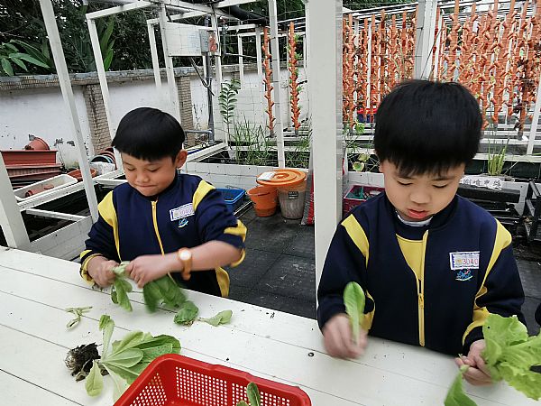 放大圖：