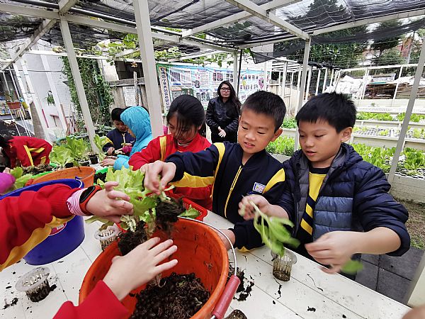 放大圖：