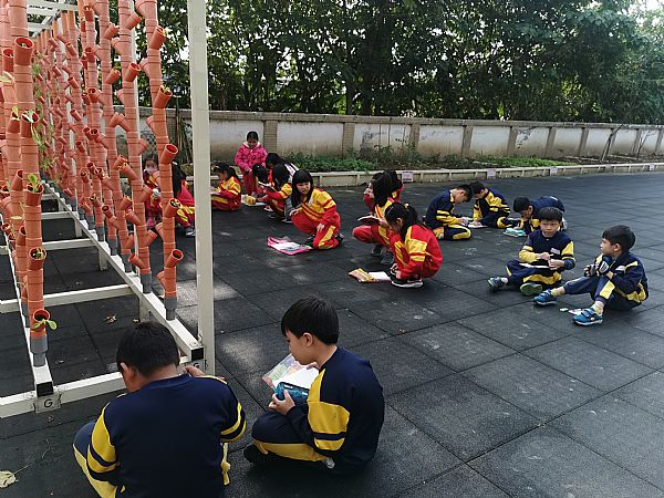 放大圖：